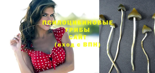 прущая мука Новодвинск